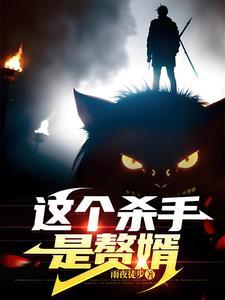 这个杀手是赘婿全集